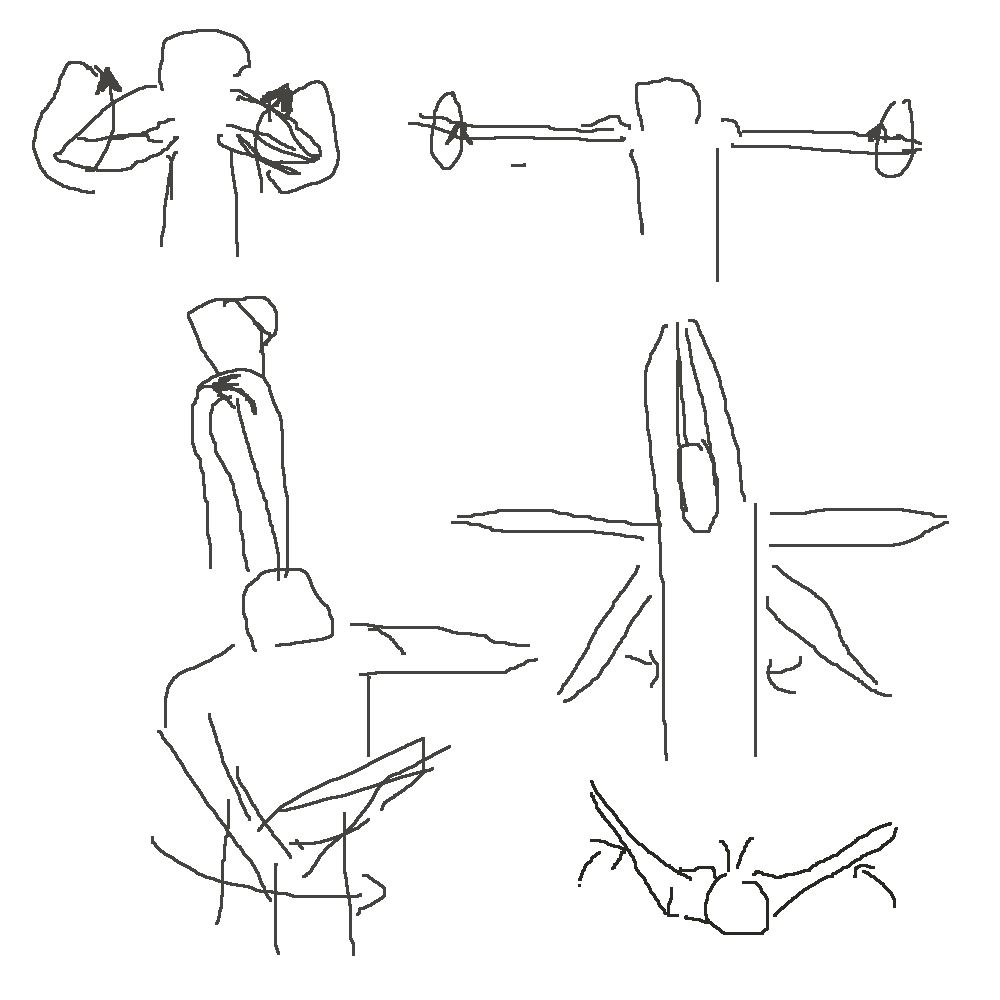 Muscle-skeleton exercises
