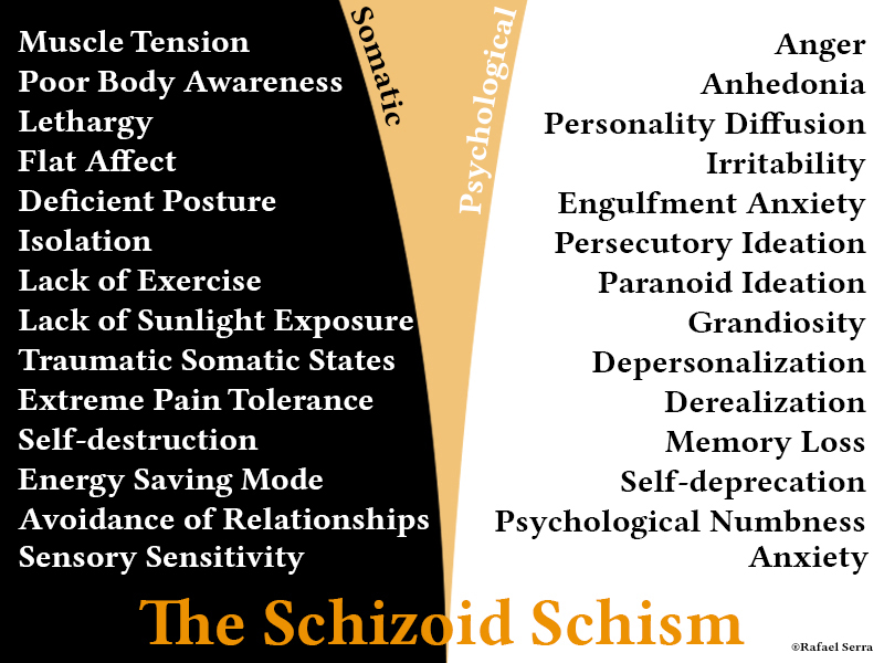 The Schizoid Schism