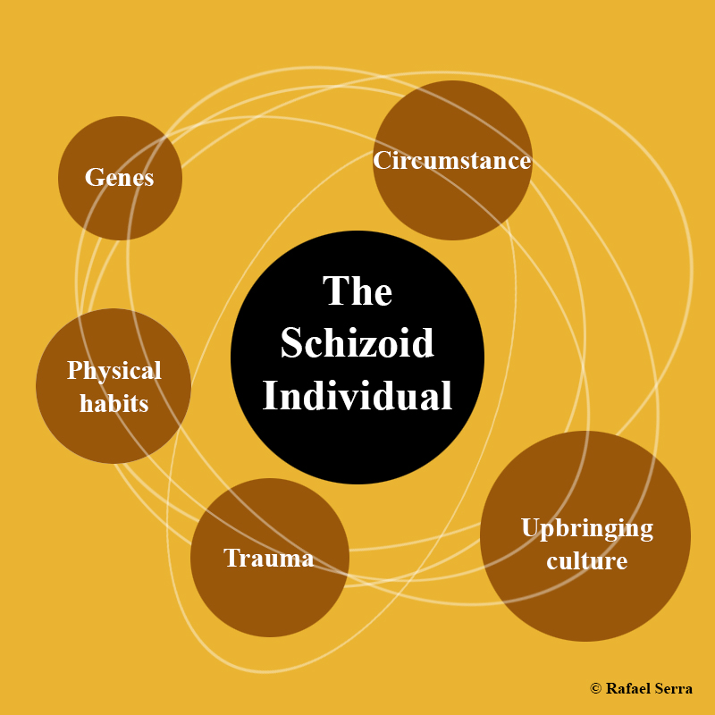The Schizoid Setup